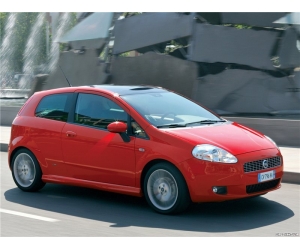    Fiat  Punto