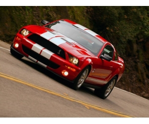   Ford Mustang Shelby GT500