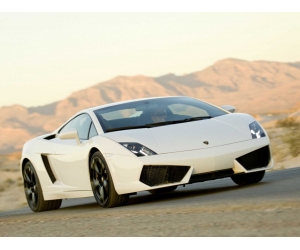 Lamborghini Gallardo LP 560-4    