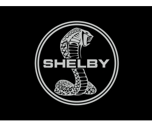    Shelby