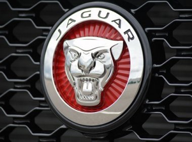Jaguar -     