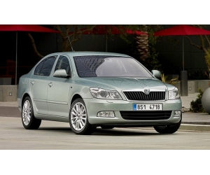        Skoda Octavia  Peugeot 407