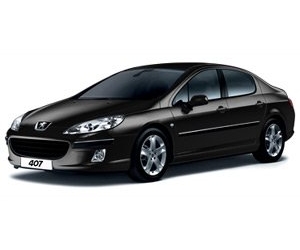  Peugeot 407 ()