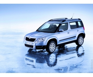 Skoda yeti:  