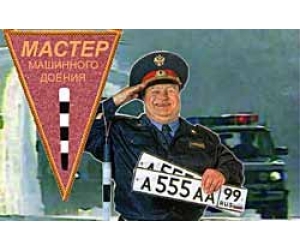 Функции, задачи, права и обязанности инспектора ДПС в России