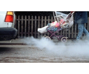 Токсичность отработавших газов автомобилей