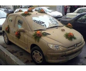 Необычные свадебные автомобили