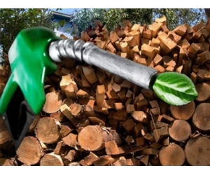 Биодизельное топливо: свойства, плюсы и минусы