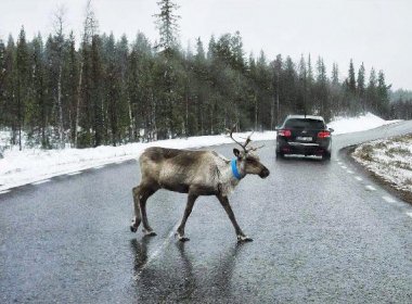 Автомобилем по Финляндии