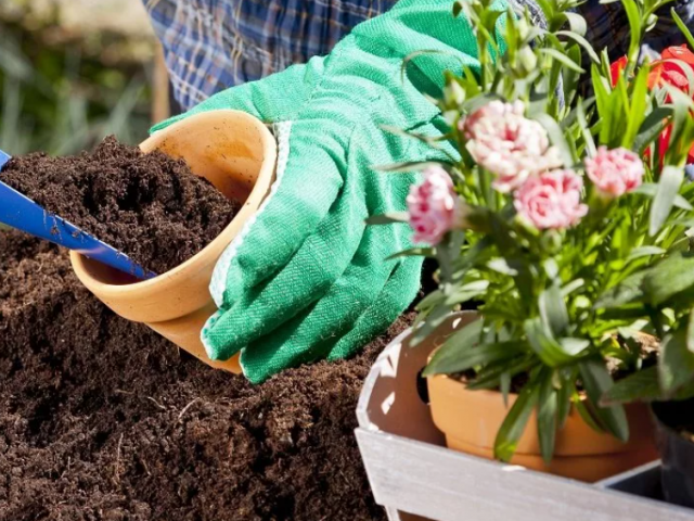 Удобрения и стимуляторы для выращивания растений в домашних условиях